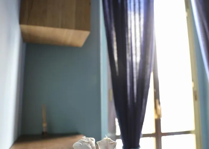 The Colors House 巴里